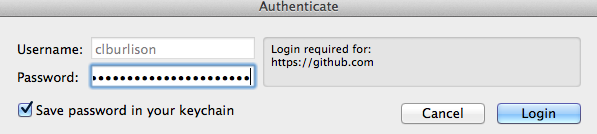 Authenticate Window